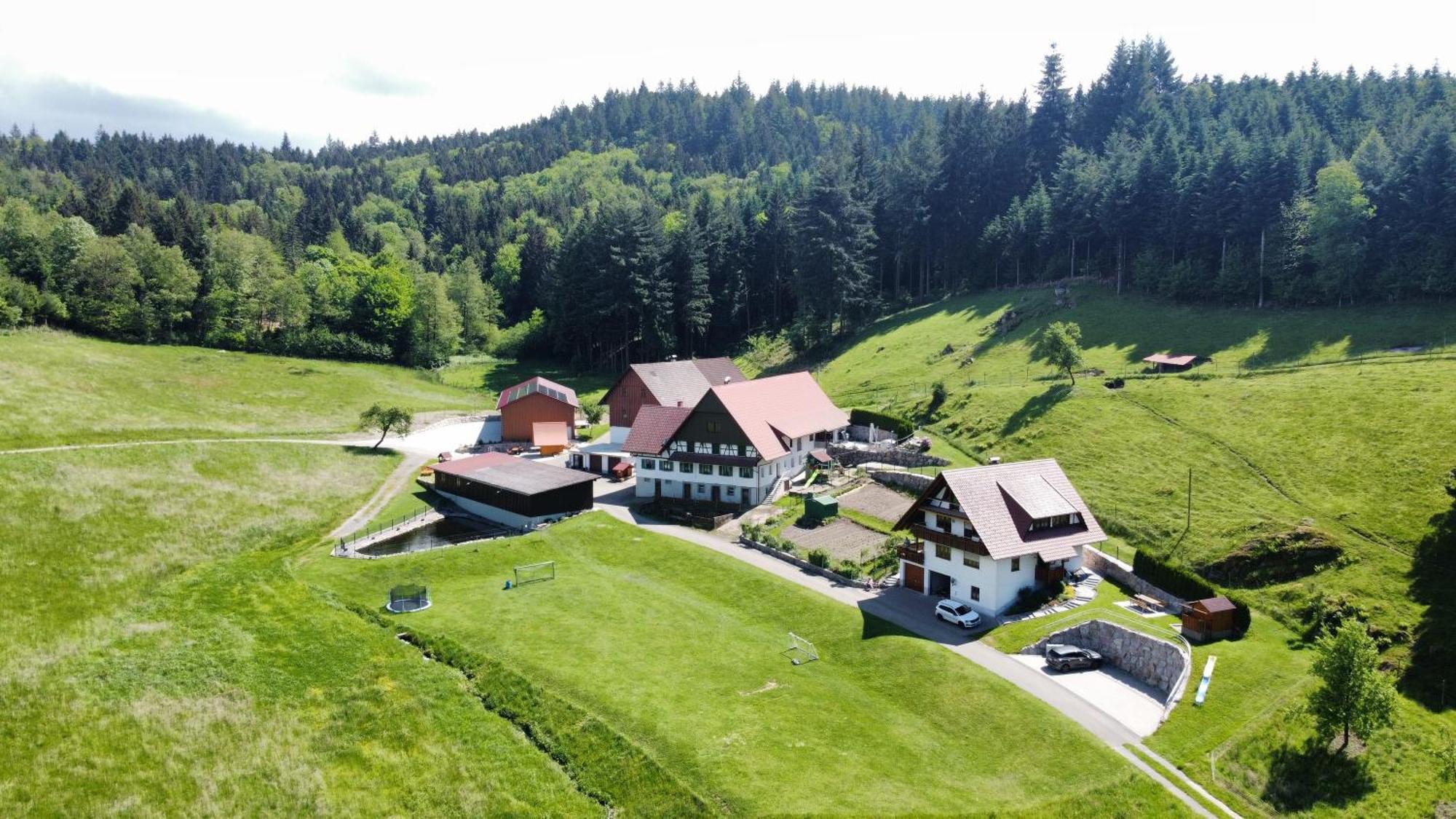 Ferienhof Benz Kappelrodeck Εξωτερικό φωτογραφία